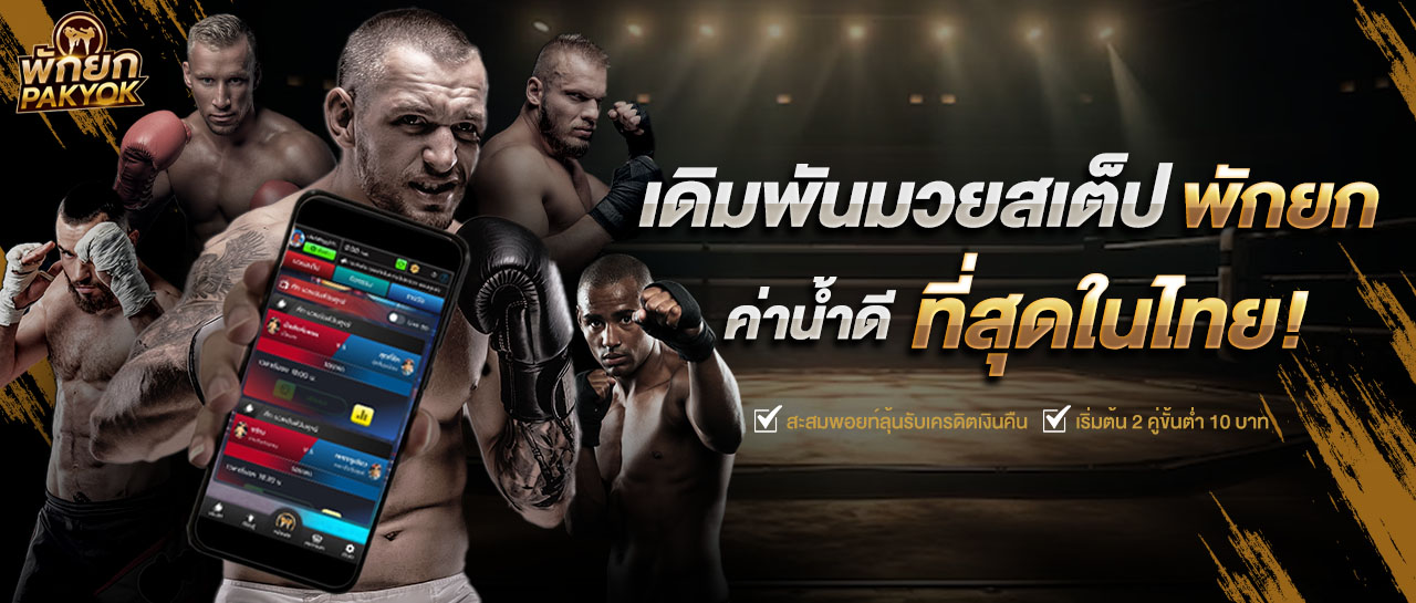 banner web boxing